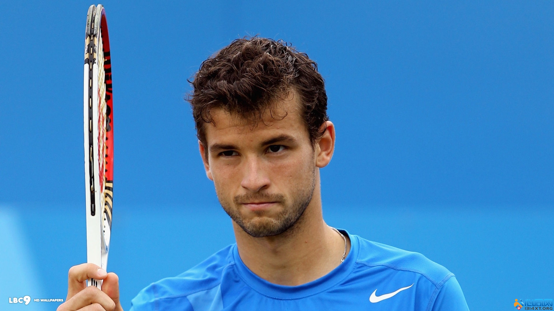 期待必将迎 期待必将迎