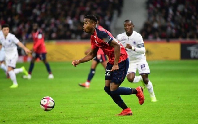 年的一系列 年的一系列