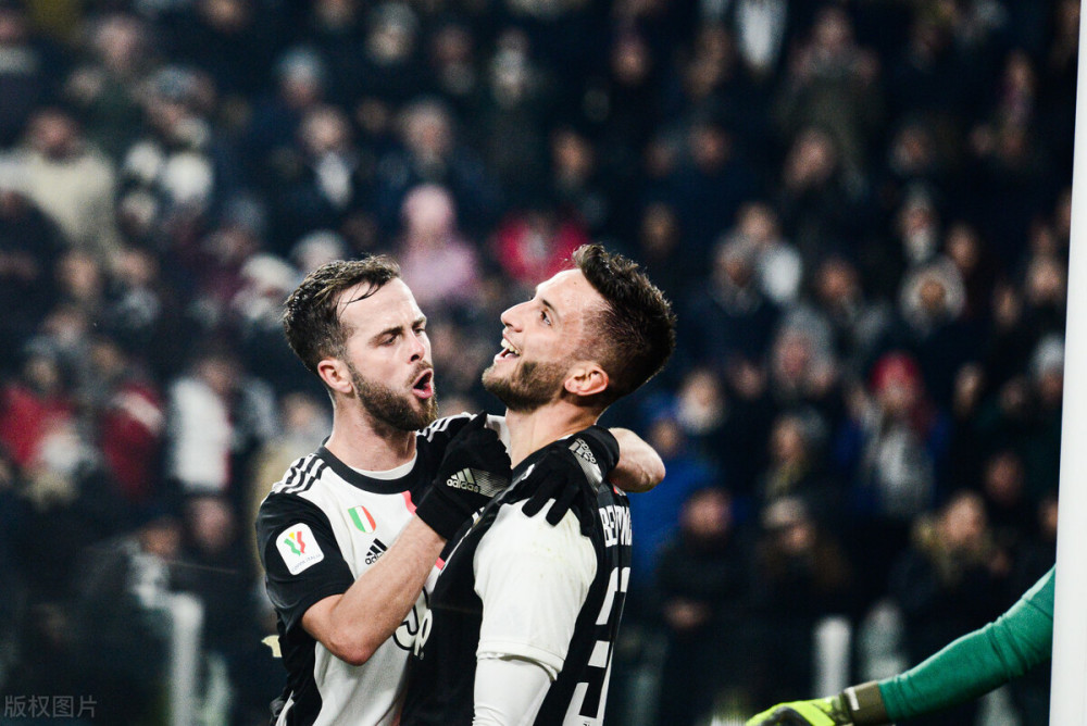 种人的争议 种人的争议