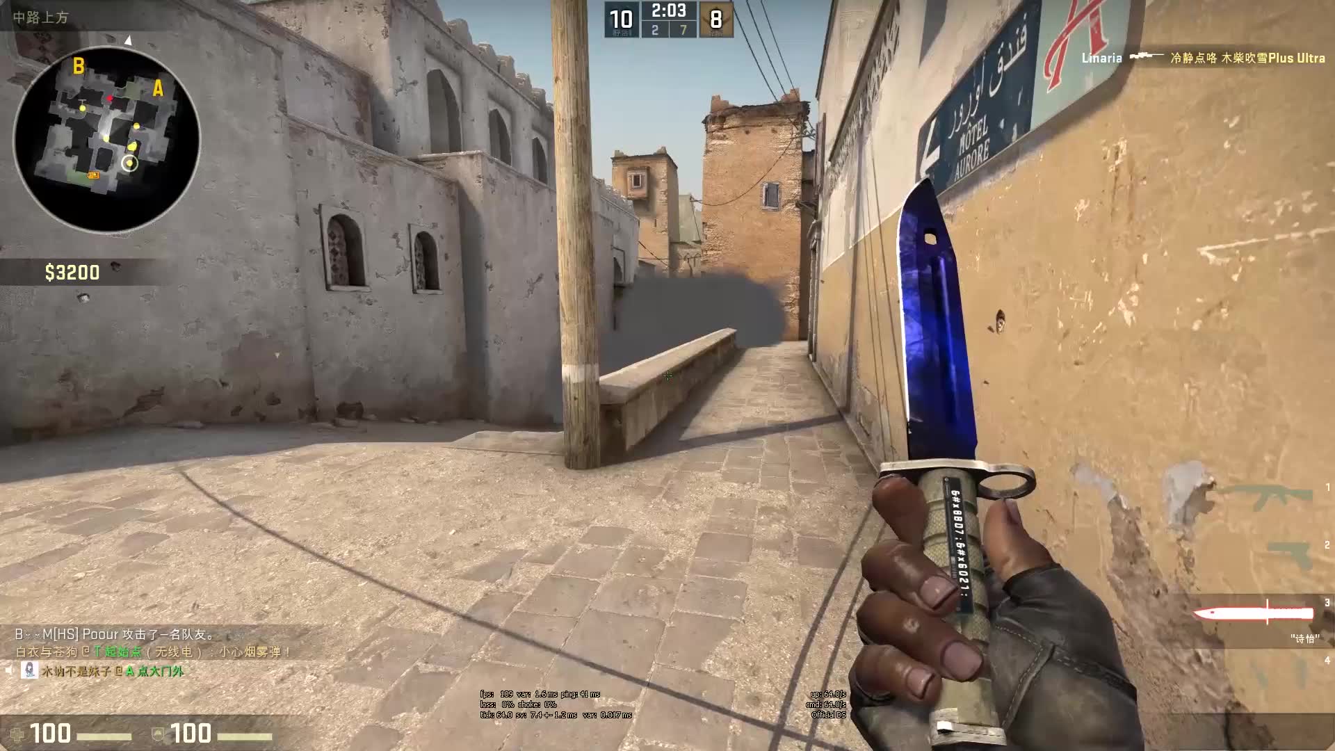 自由飞翔 自由飞翔