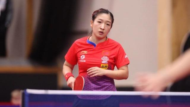 体育领域内 体育领域内